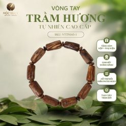 BỘ SƯU TẬP TRẦM PHILLIP "TRÚC - MẮT TỬ" DÀNH CHO NAM