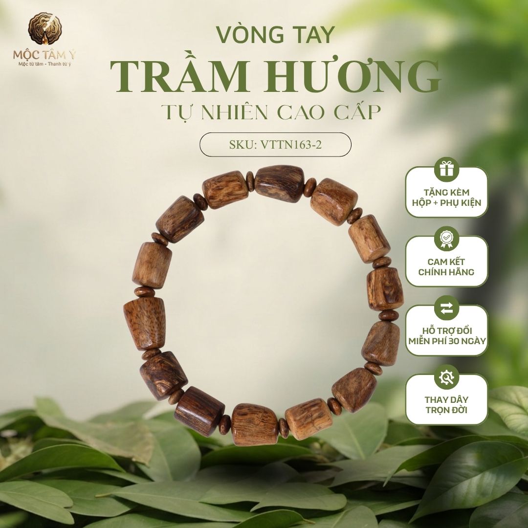 BỘ SƯU TẬP TRẦM PHILLIP "TRÚC - MẮT TỬ" DÀNH CHO NAM - Ảnh 3