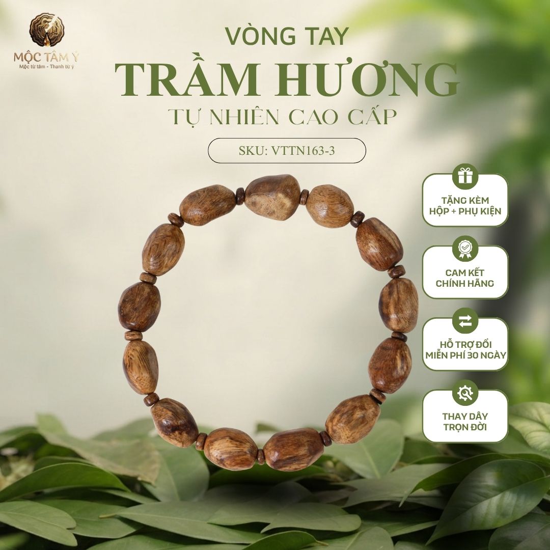 BỘ SƯU TẬP TRẦM PHILLIP "TRÚC - MẮT TỬ" DÀNH CHO NAM - Ảnh 4