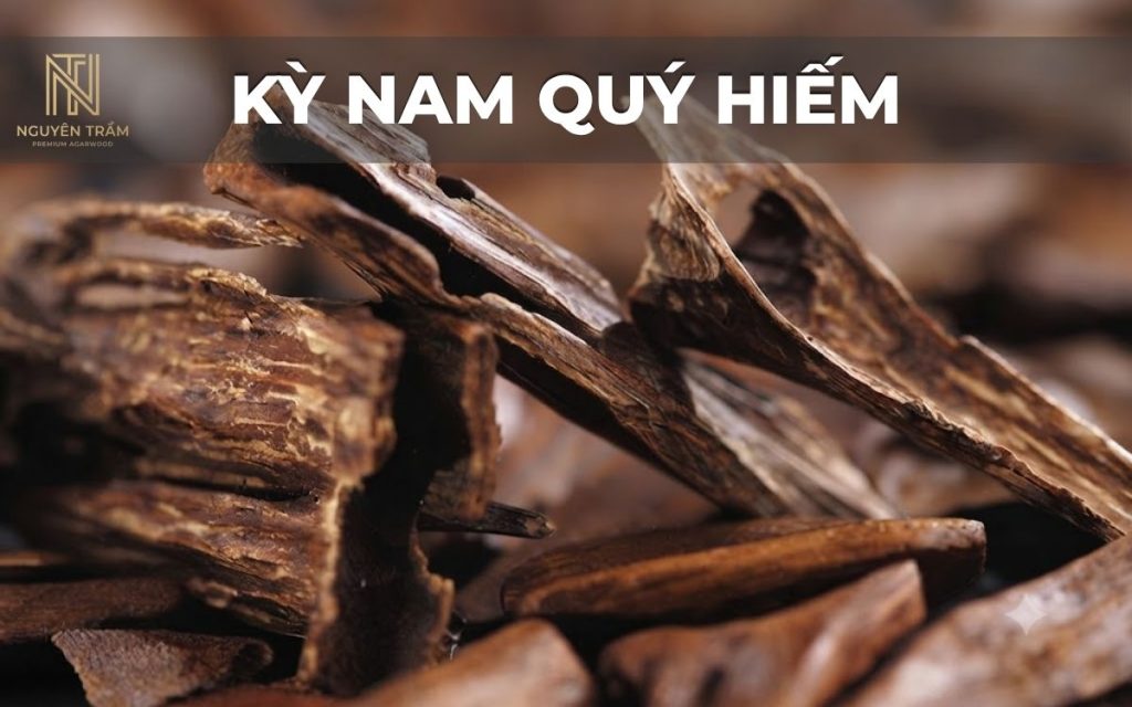Kỳ nam là một sản phẩm từ gỗ trầm hương với một loại nhựa gỗ có mùi thơm và sẫm màu