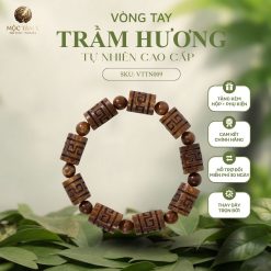 Trúc Kim Quỹ