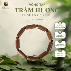 Trúc Tốc Mộc Sáng