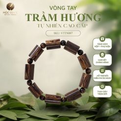 Trúc Tốc Vân Đậm